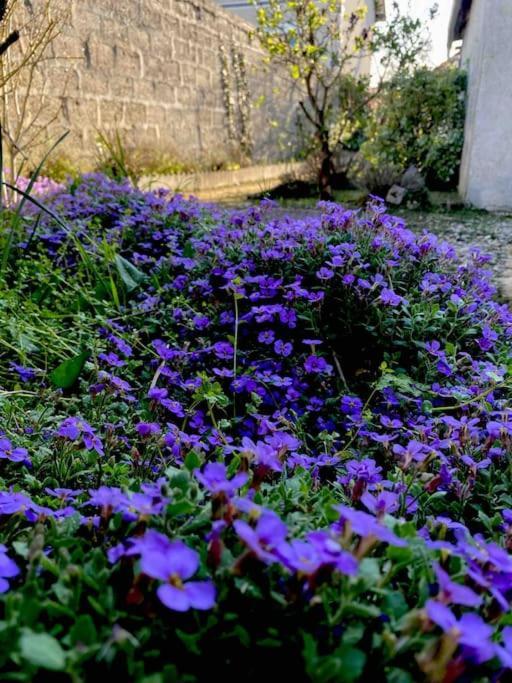 Vila Le Ni' De Jess Migennes Exteriér fotografie